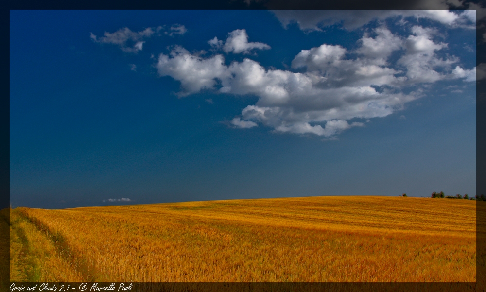 Grain and Clouds # 2.1