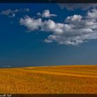 Grain and Clouds # 2.1