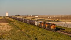 -- Grain Elevator --