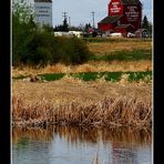 Grain elevators in St. Albert, Alberta