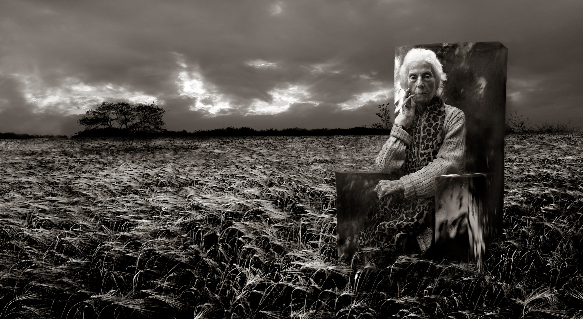 graindiary: vera in the middle of the grain sea