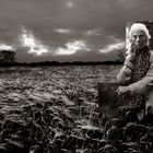 graindiary: vera in the middle of the grain sea