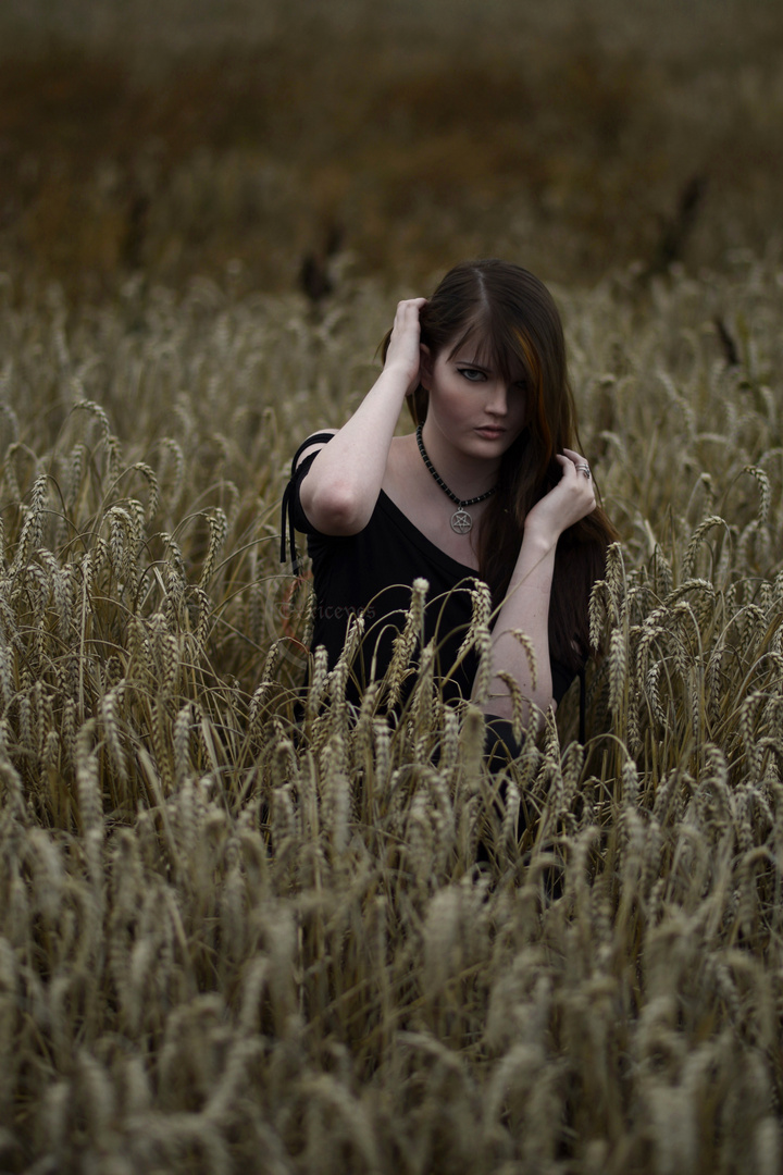 Grainfield 2