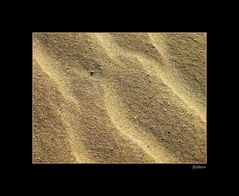 GRAINS DE SABLE