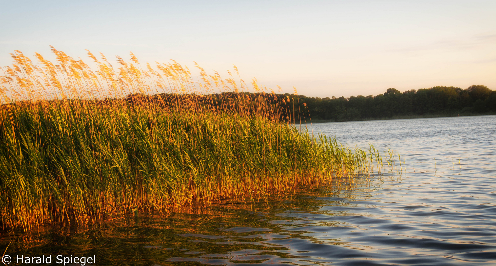 Grammersdorfer See