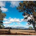 grampians