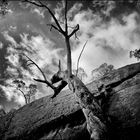 Grampians Rocks