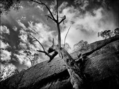 Grampians Rocks