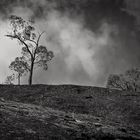 Grampians Rocks II