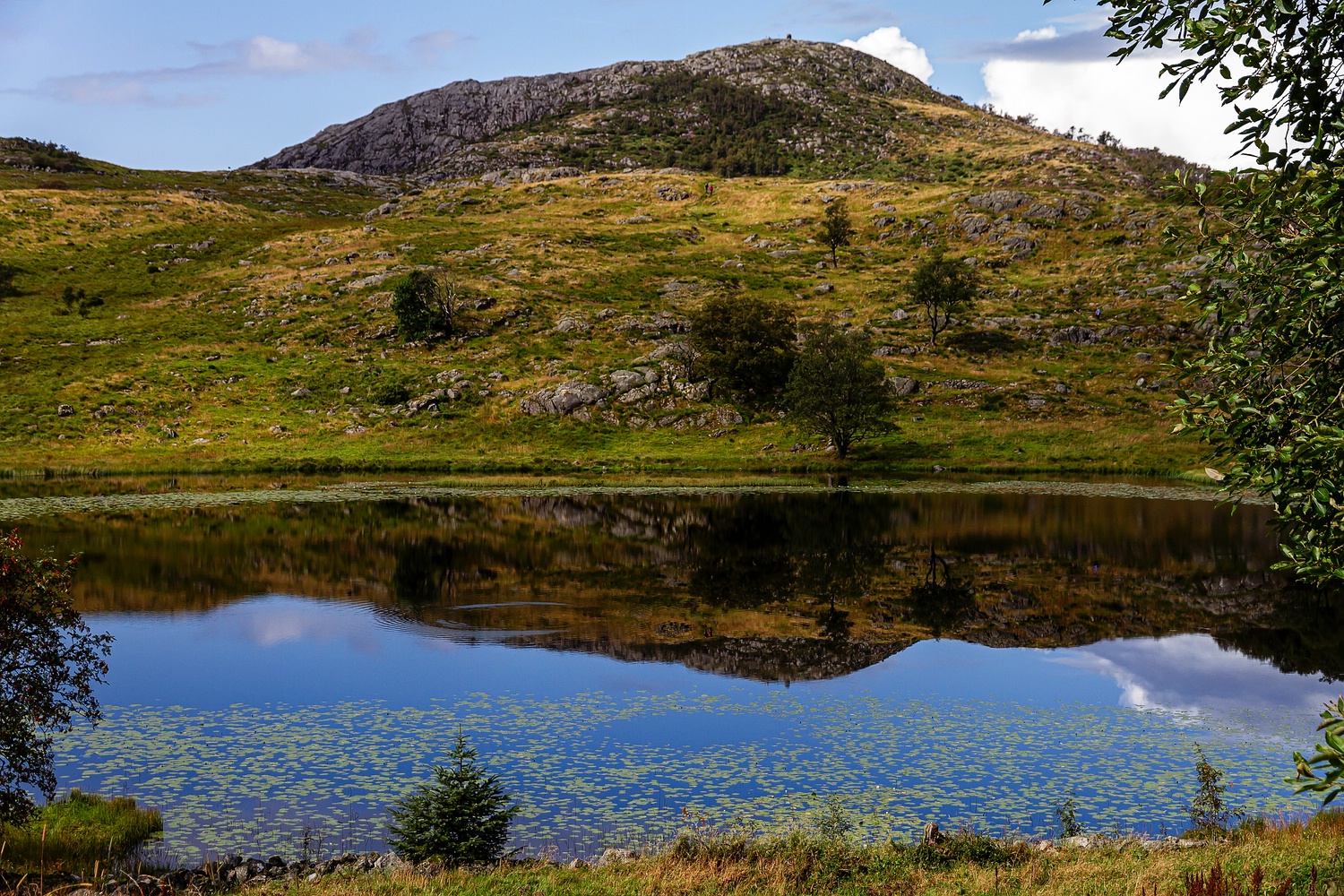 Gramstadtjørna