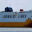 GRAN BRETAGNA / Vehicel carrier / Schelde / Antwerpen