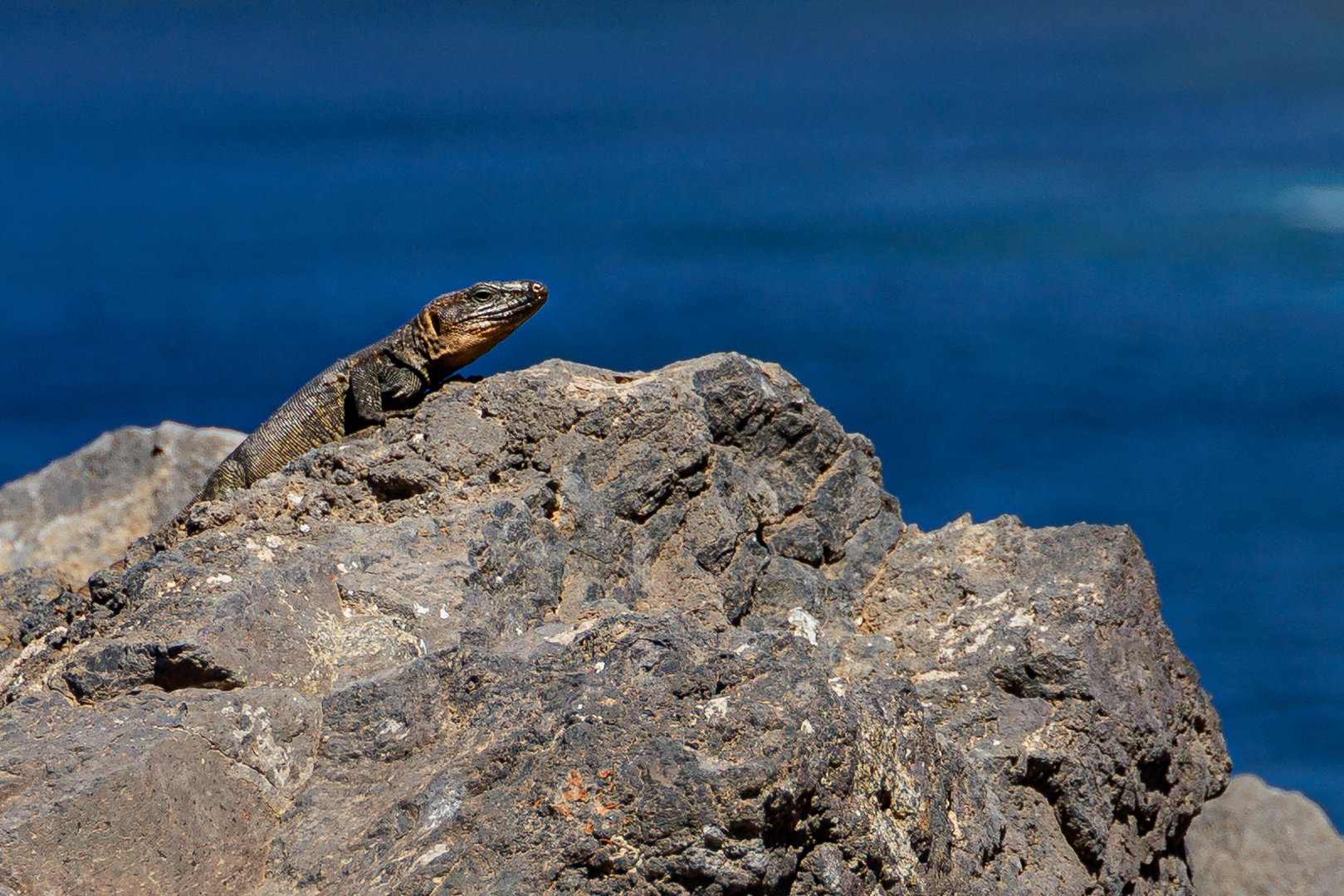 Gran Canaria-05