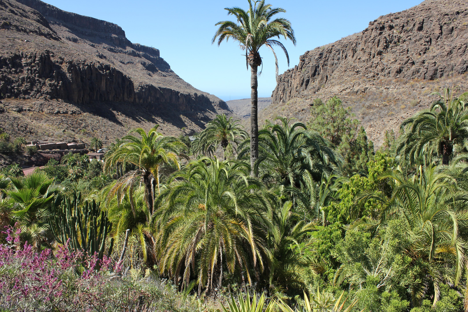 Gran Canaria