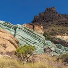 Gran Canaria  