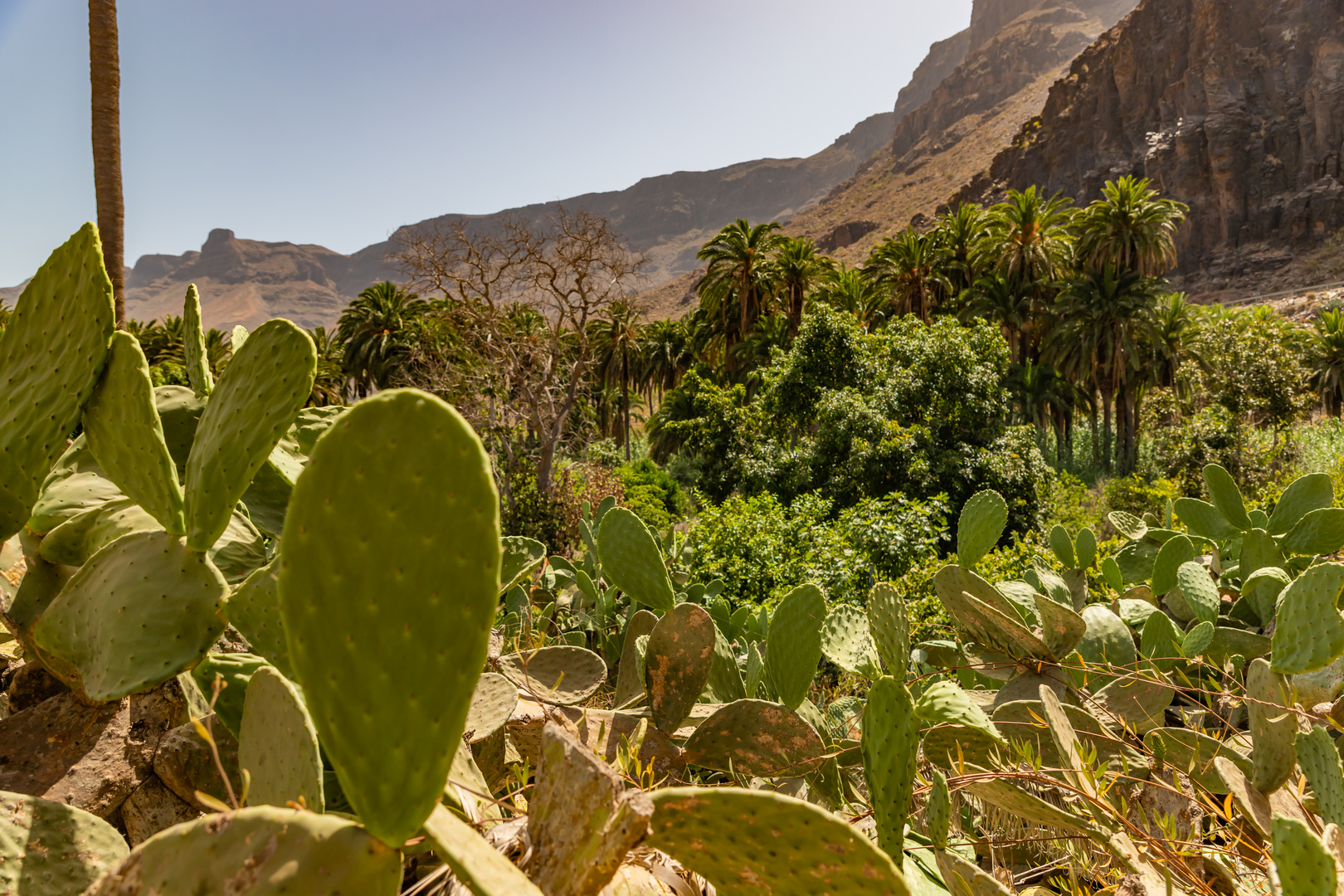 Gran Canaria 2021