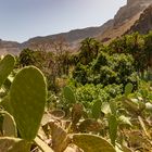 Gran Canaria 2021