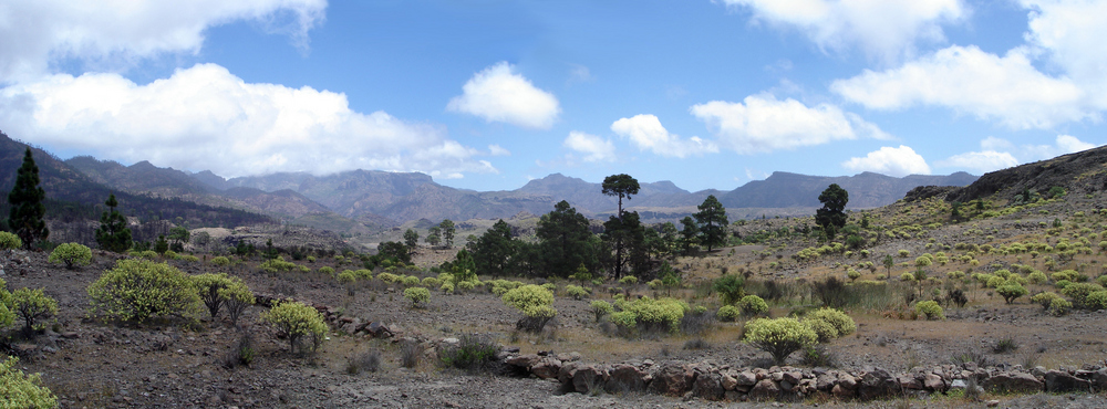 Gran Canaria