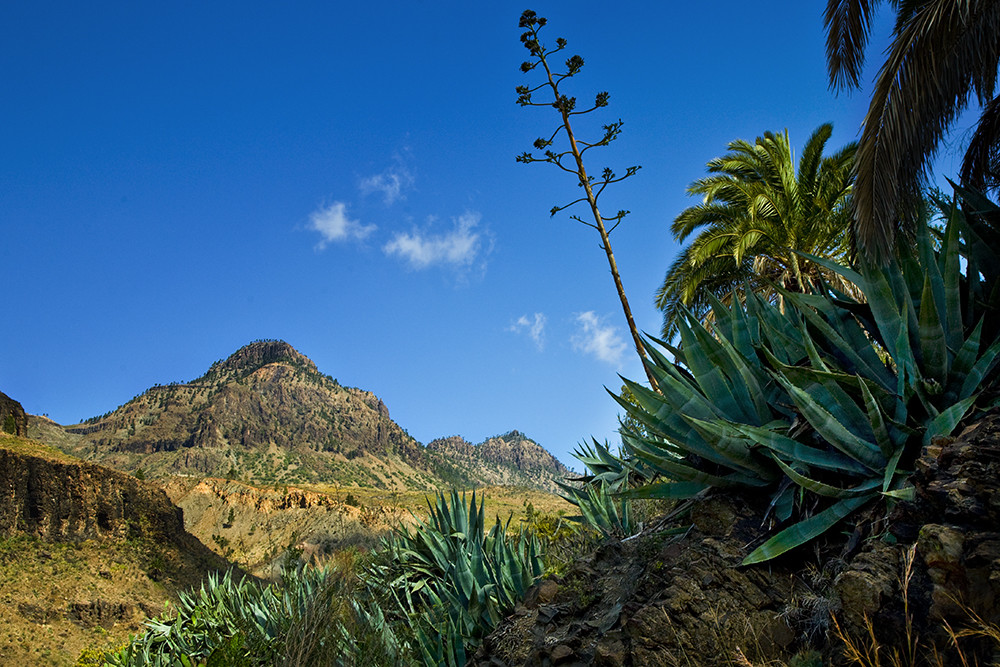 Gran Canaria von Eddie Meyer 