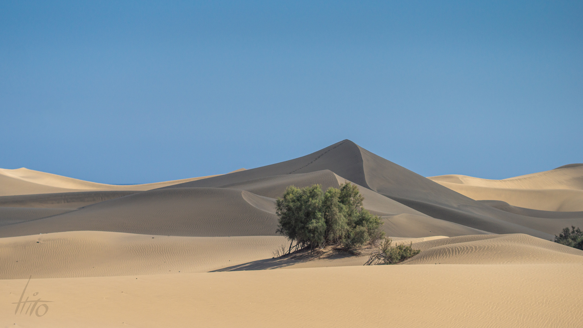 Gran Canaria