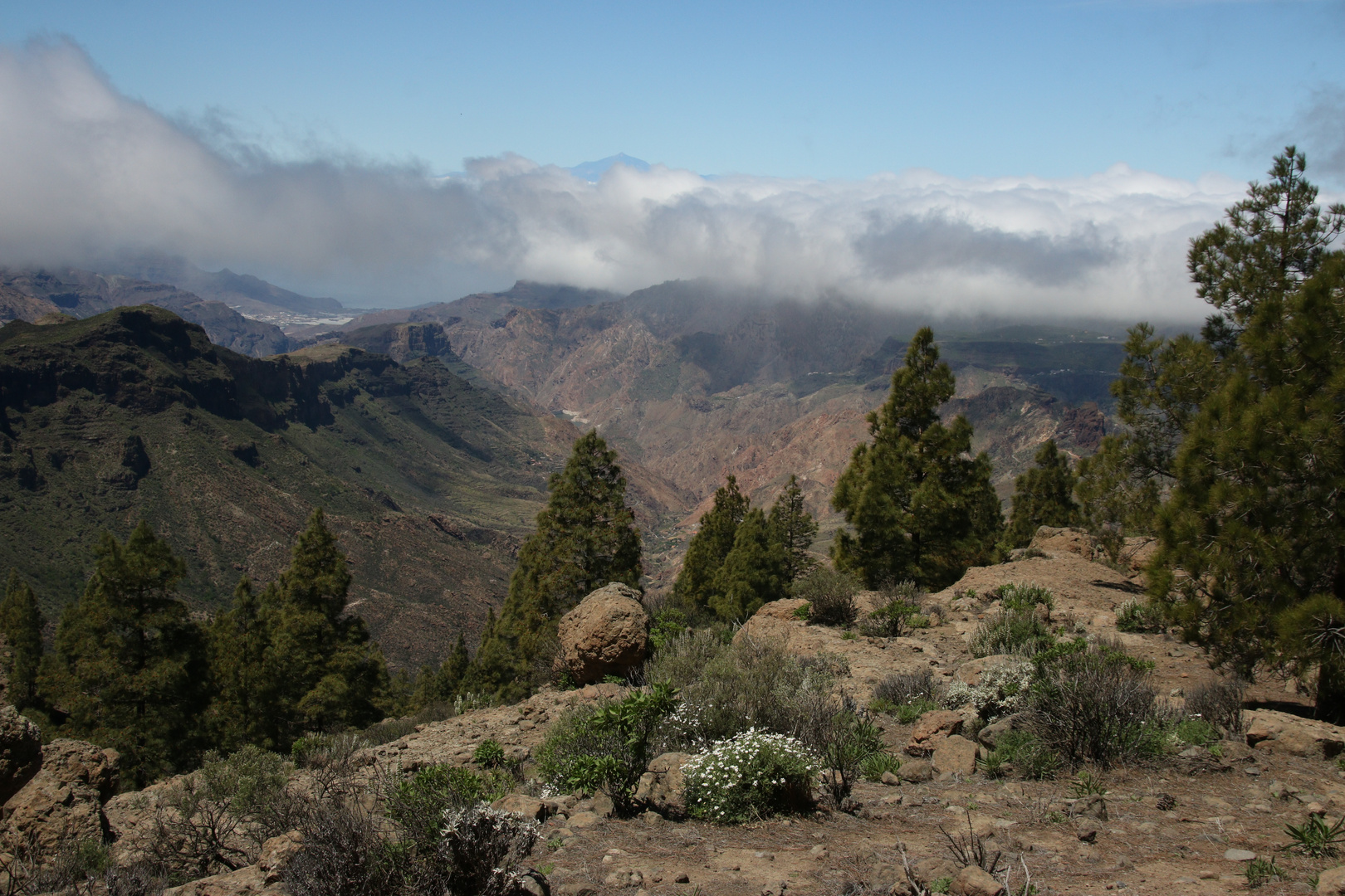 Gran Canaria