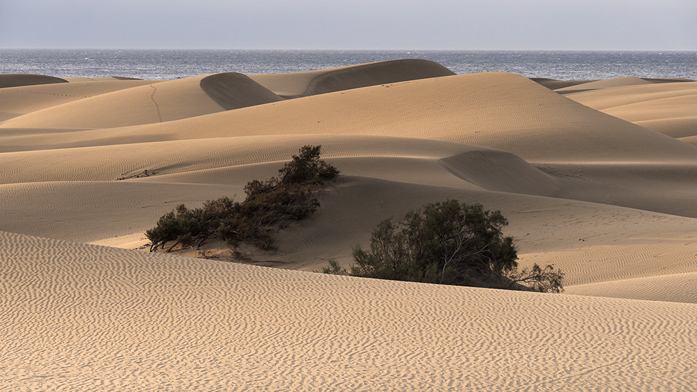 Gran Canaria  am Morgen                                       