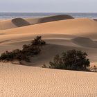 Gran Canaria  am Morgen                                       