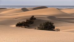 Gran Canaria  am Morgen                                       