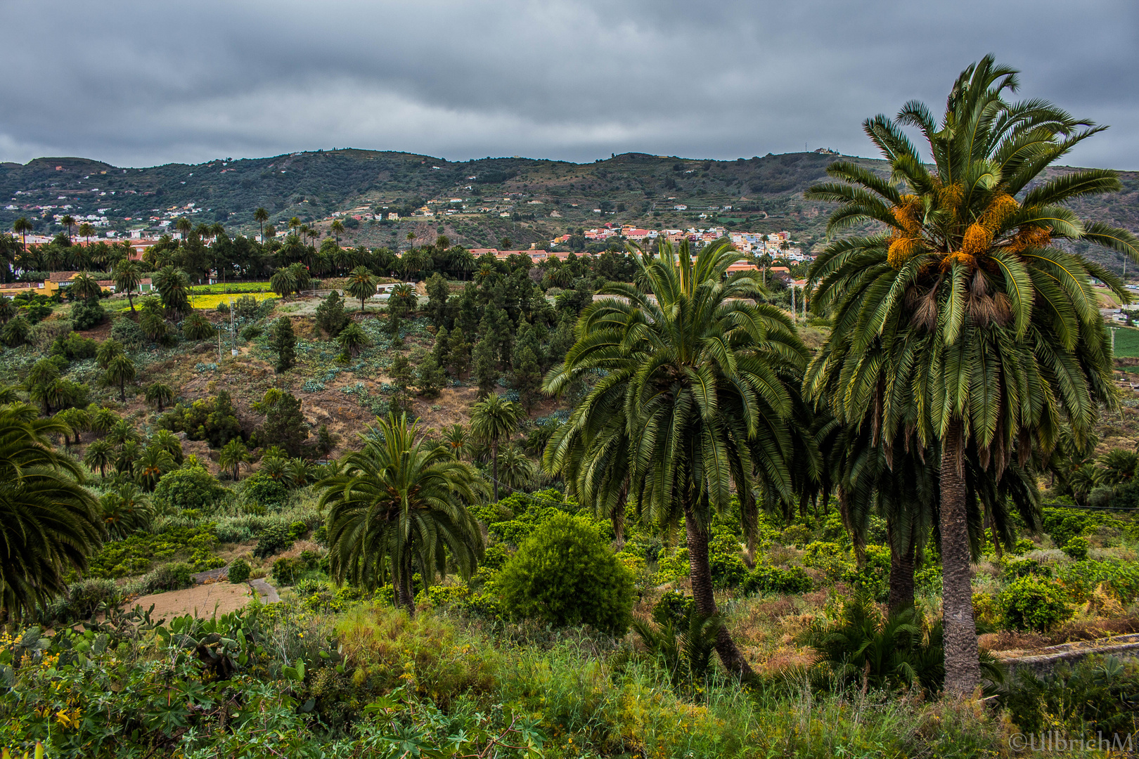 Gran Canaria - Der fruchtbare, grüne Norden 3