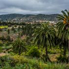 Gran Canaria - Der fruchtbare, grüne Norden 3