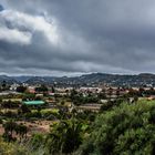 Gran Canaria - Der fruchtbare, grüne Norden
