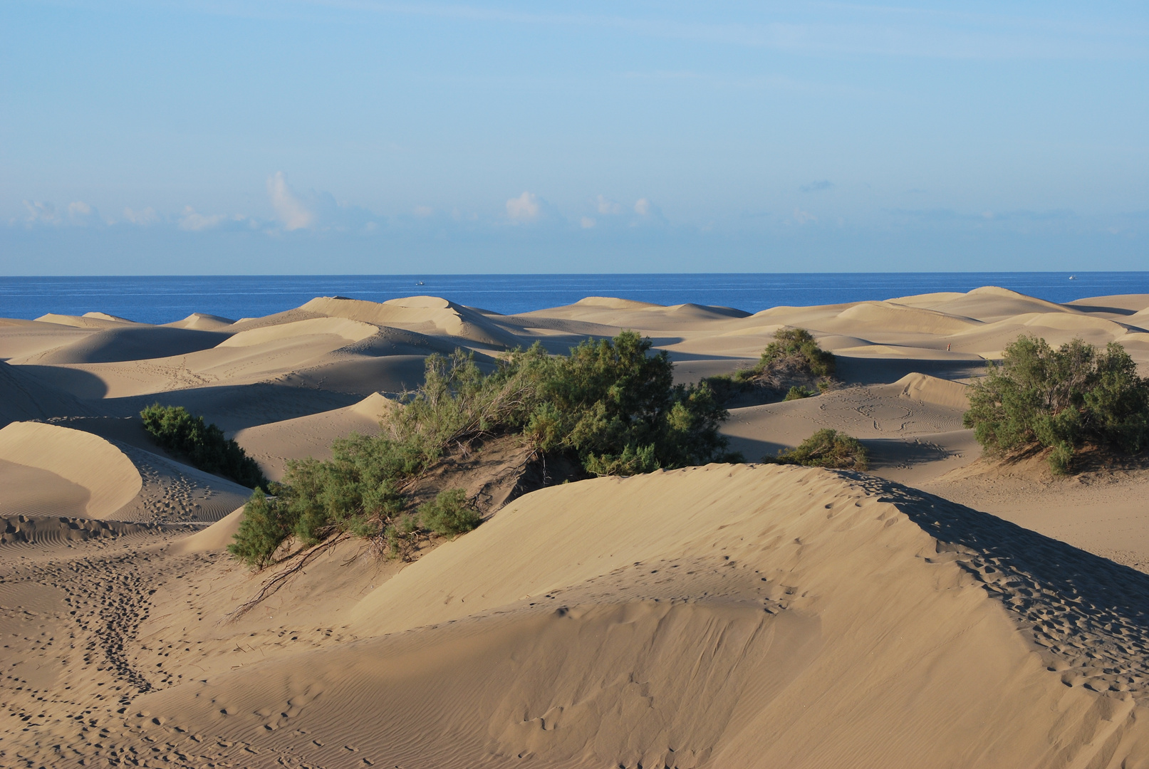 Gran Canaria, El Oasis 2011