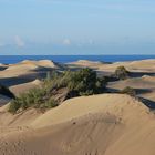 Gran Canaria, El Oasis 2011