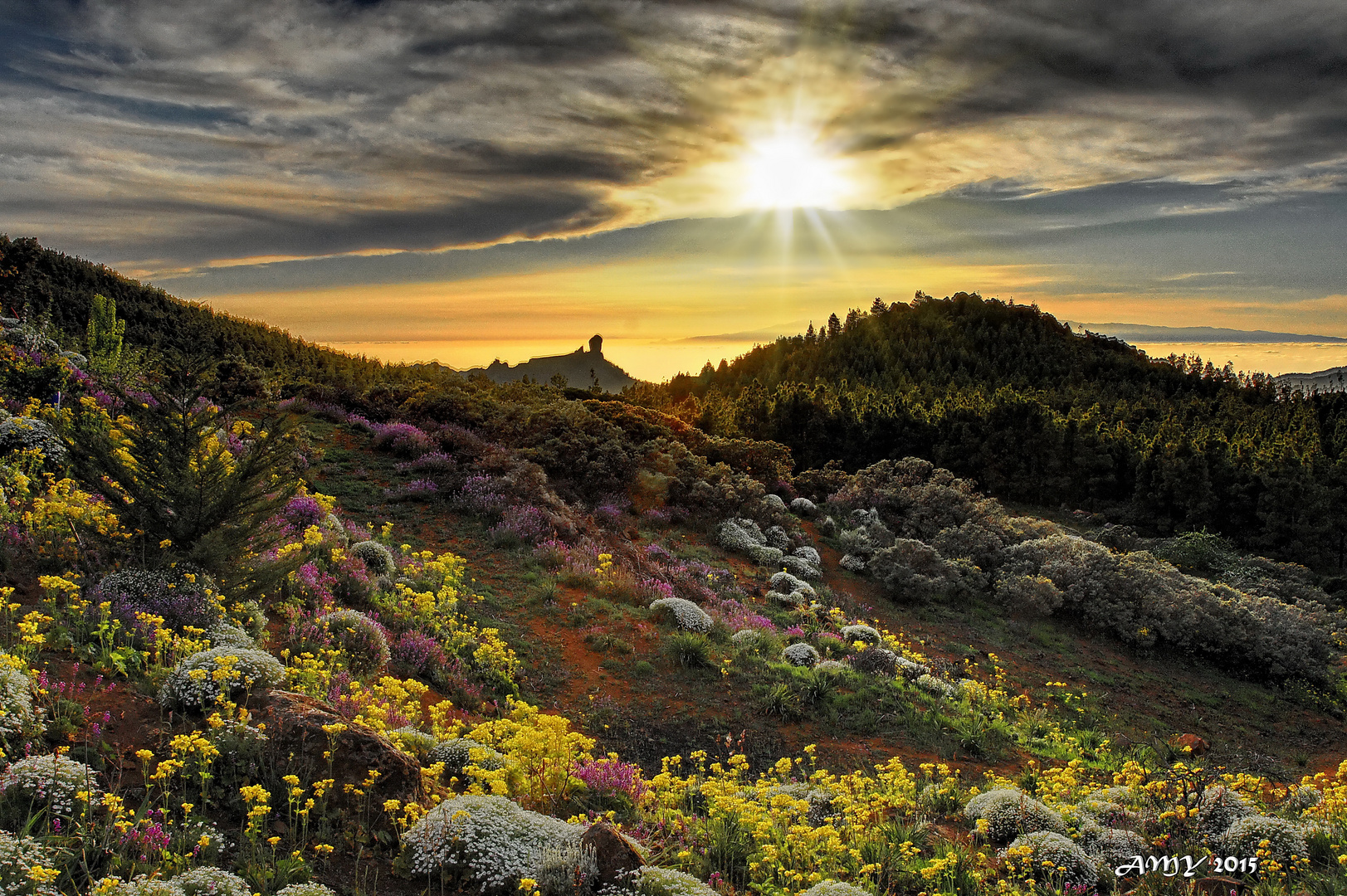 GRAN CANARIA EN PRIMAVERA........ORGIA FLORAL. Dedicada a EMEN 49 ( MARIANNE).