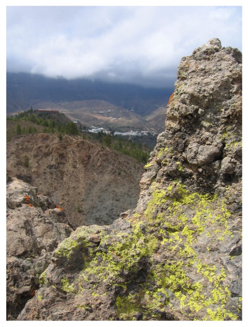 Gran Canaria - gelbe Flechte (?)