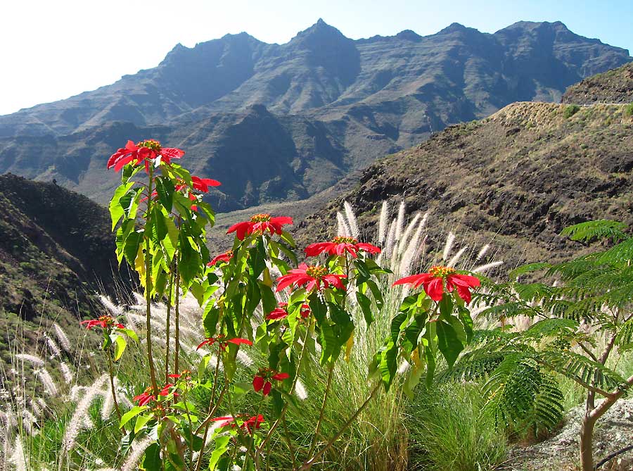 Gran Canaria im Dezember