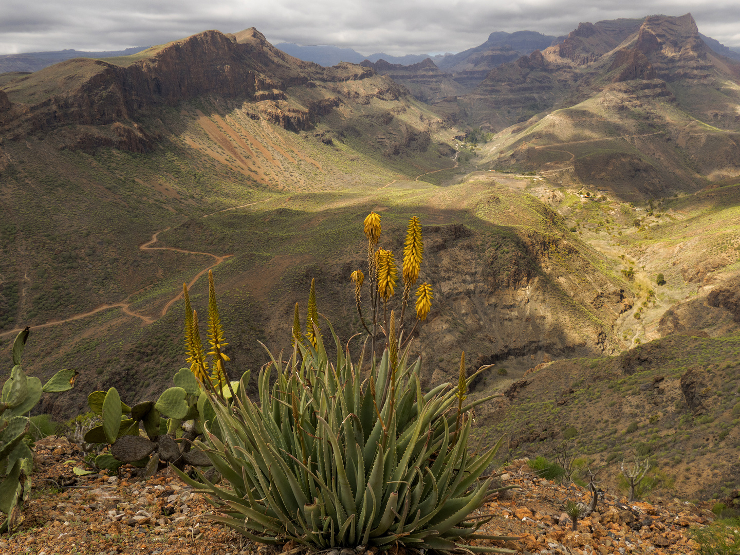 Gran Canaria im Frühling