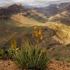 Gran Canaria im Frühling