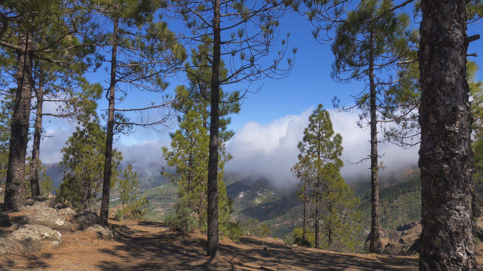 Gran Canaria , in den Bergen