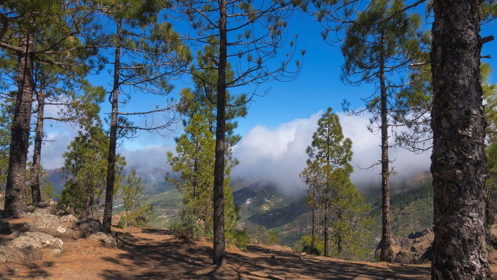 Gran Canaria , in den Bergen