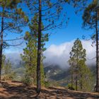 Gran Canaria , in den Bergen