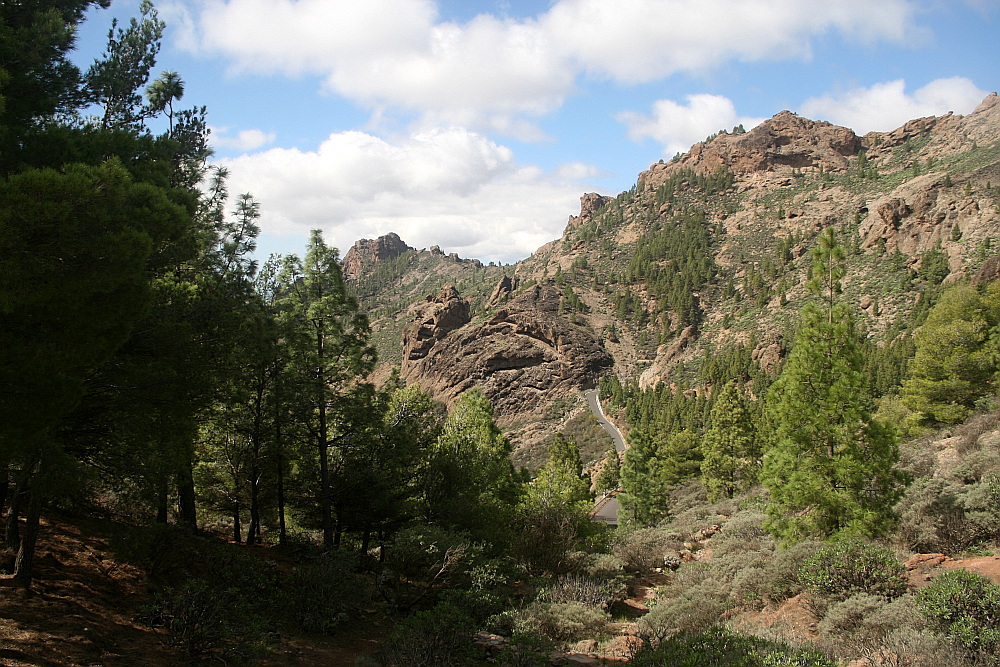 Gran Canaria: In den Bergen