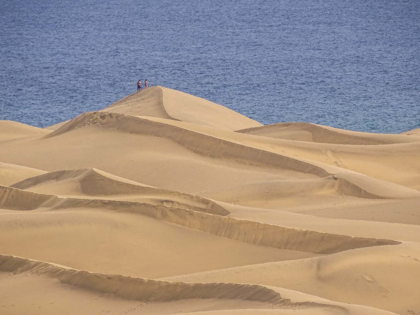 Gran Canaria (Las Dunas)