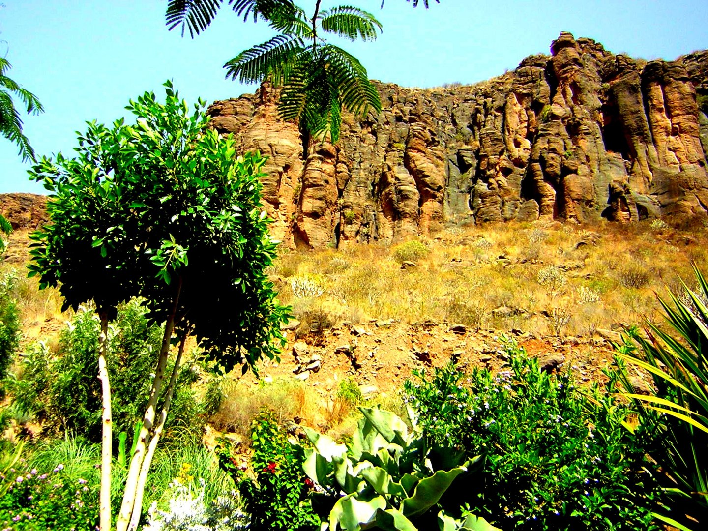 Gran Canaria - Palmitos Park