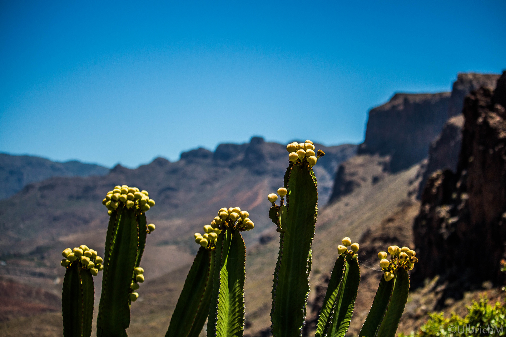 Gran Canaria - schroffes Hinterland