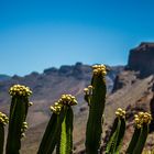 Gran Canaria - schroffes Hinterland