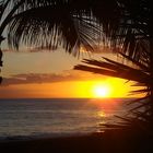 Gran Canaria,Maspalomas