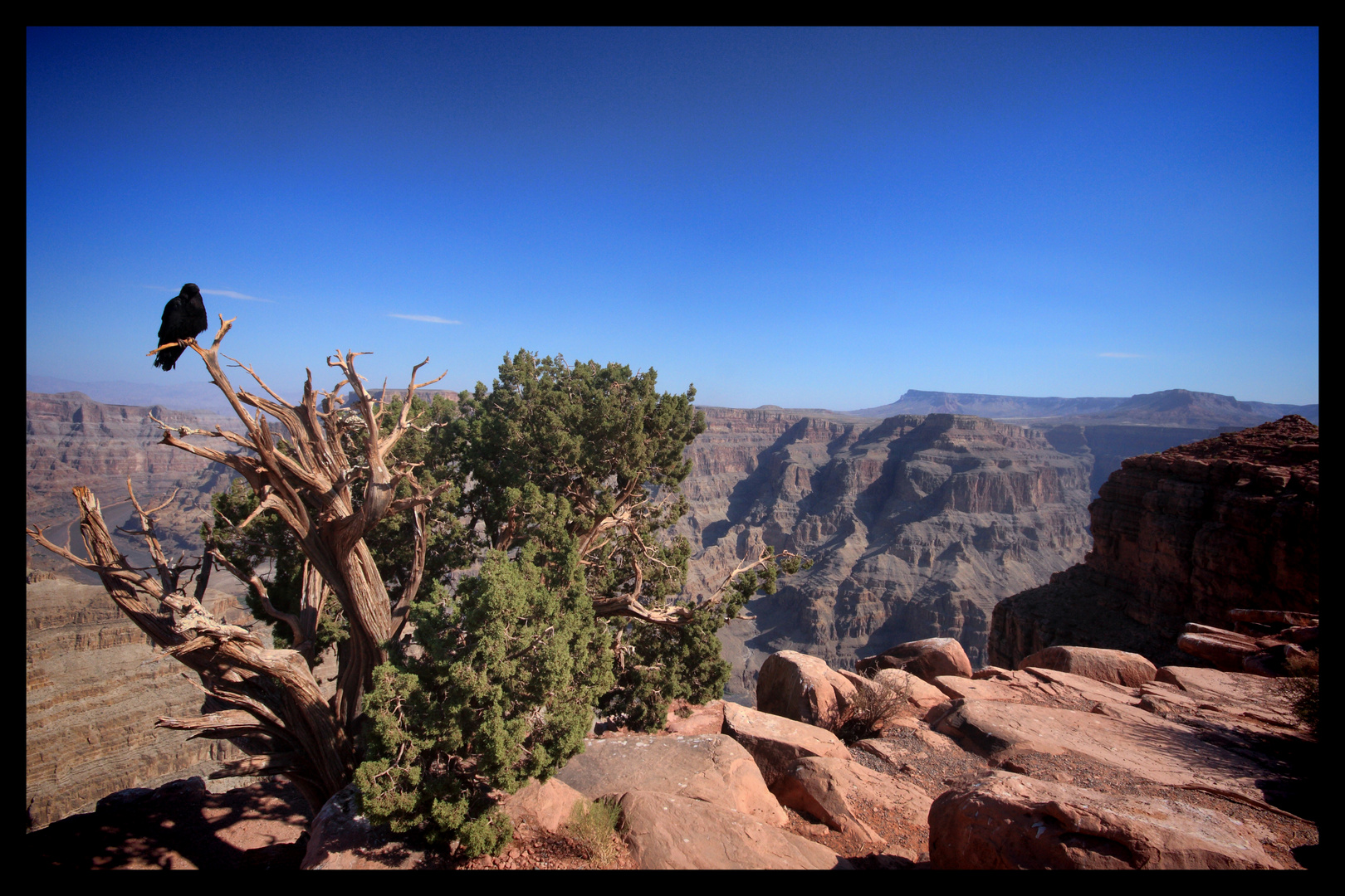 Gran Canyon