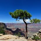 Gran Canyon National Park