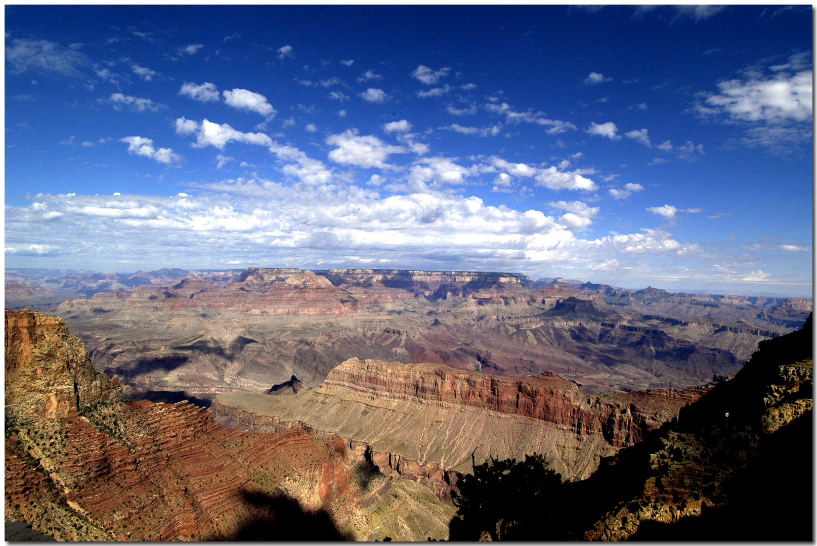 Gran Canyon View