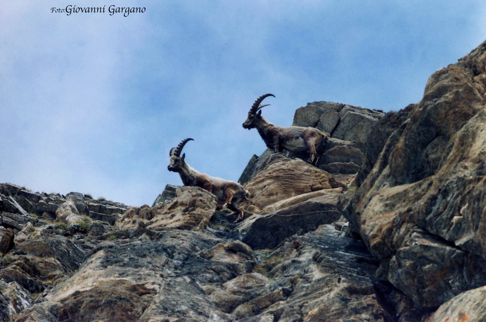 Gran Paradiso .